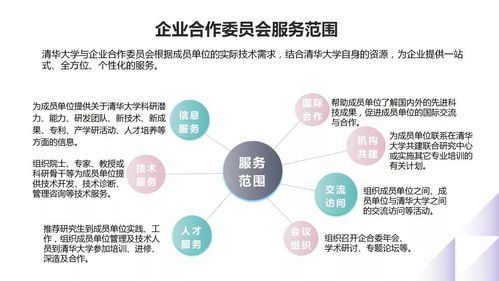 清華大學的產學研合作模式 以信息技術咨詢服務為例